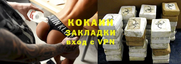 прущие грибы Верхний Тагил