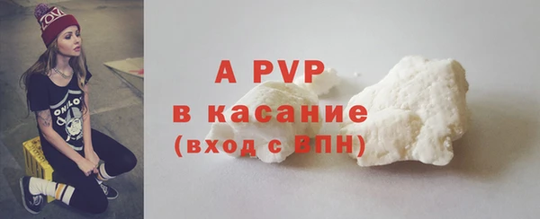 прущие грибы Верхний Тагил