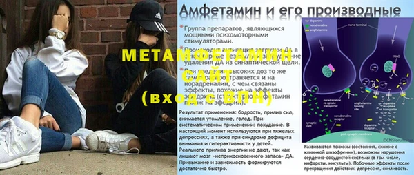 прущие грибы Верхний Тагил