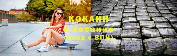 прущие грибы Верхний Тагил