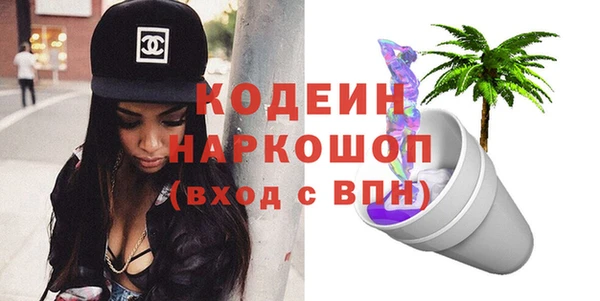 прущие грибы Верхний Тагил