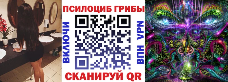 Псилоцибиновые грибы мухоморы  цены   гидра ссылки  Называевск 